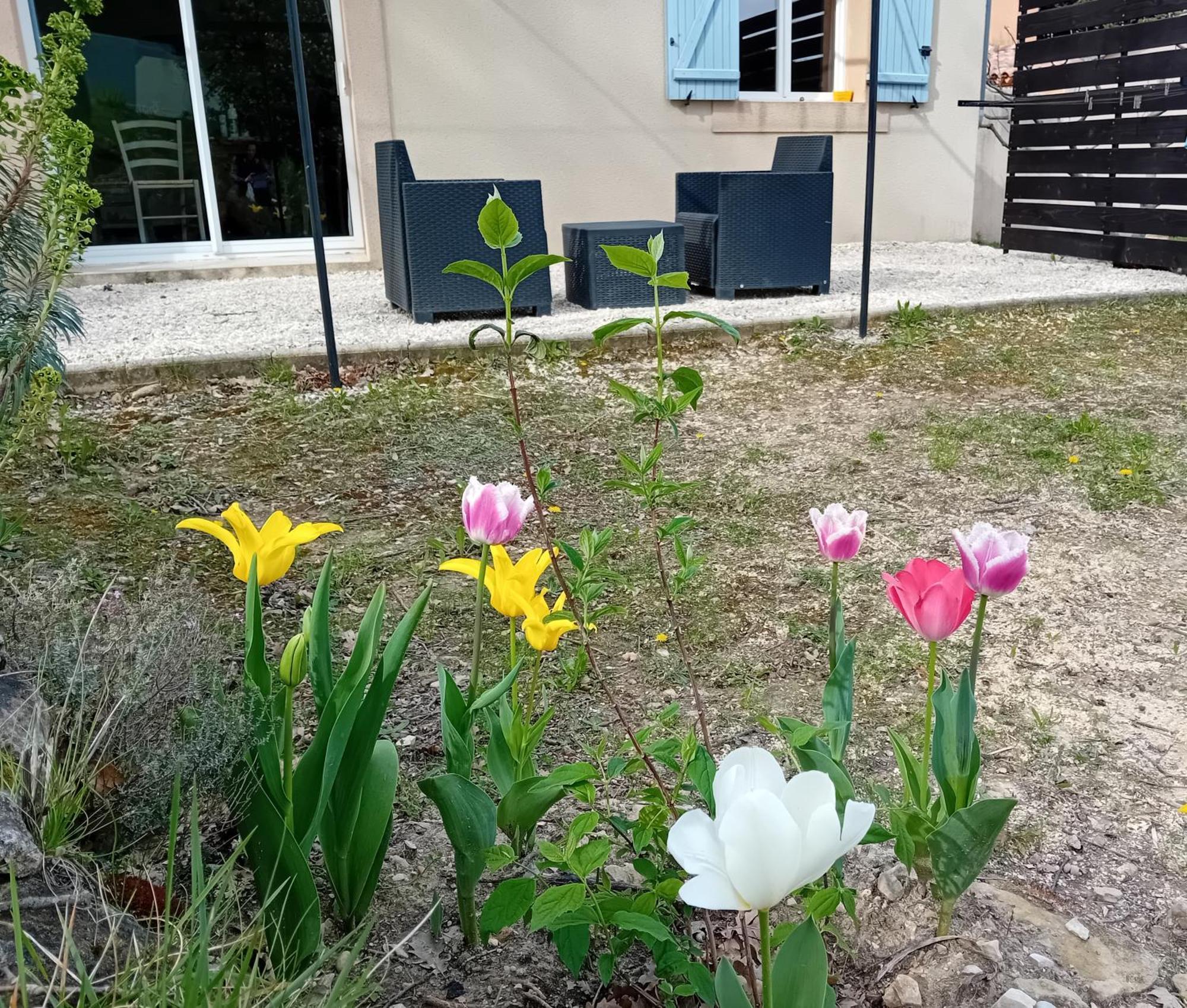 Sittelle & Parking Prive Holiday home *